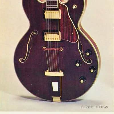 Bradley ES-55W Double Cutaway Semi-Hollow 1975 Natural Rosewood image 25
