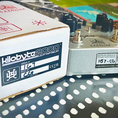 Caroline Guitar Company Kilobyte-2000 Lo-Fi Tap Delay image 4