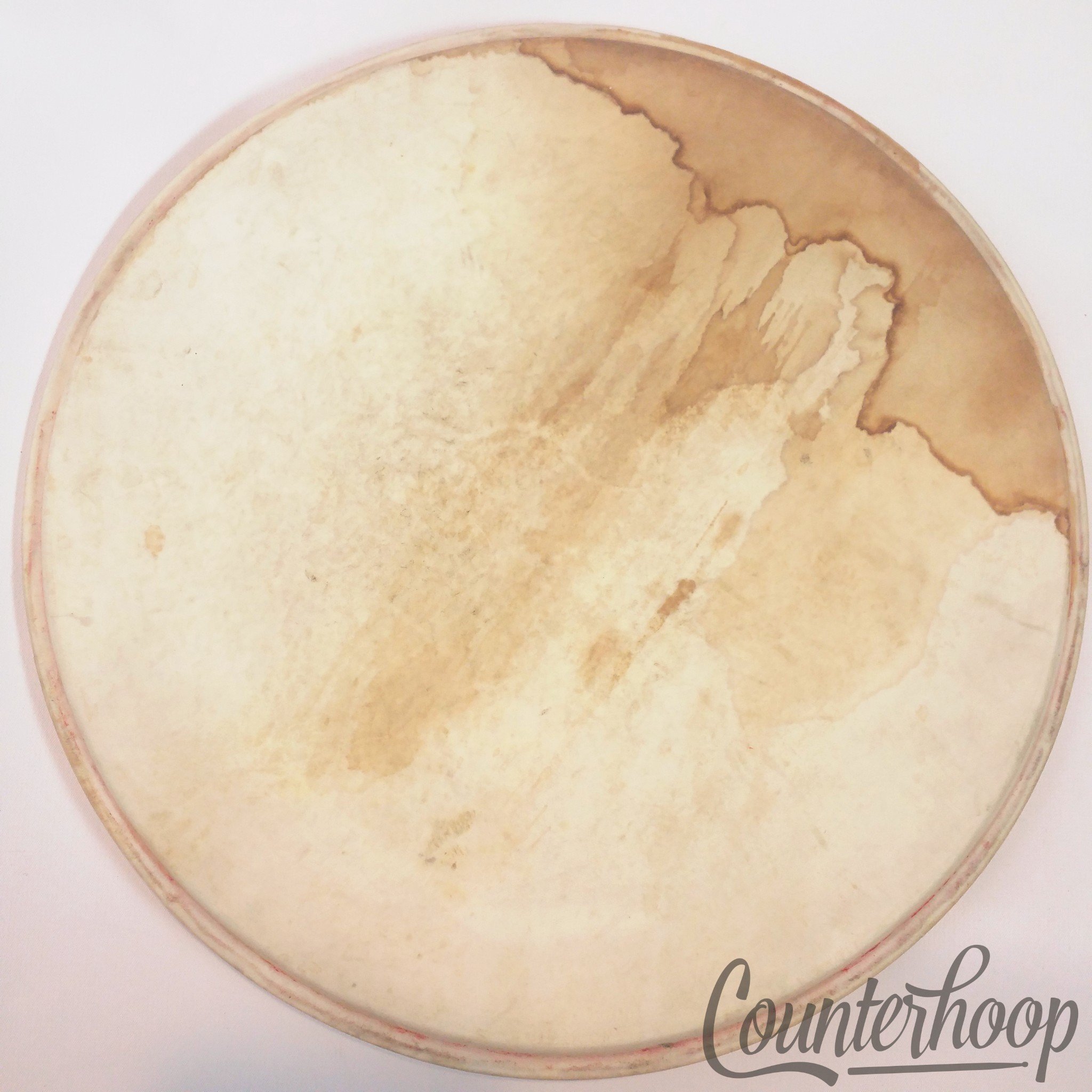 Leedy 12" Calf Skin Ride Tom Drum Head Calfskin Thick Batter USA Vintage 20s* — main photograph