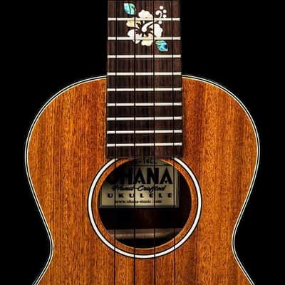 Ohana Model CK-14E-CL Cynthia Lin Series Electric Acoustic Concert Ukulele -BLEM image 3