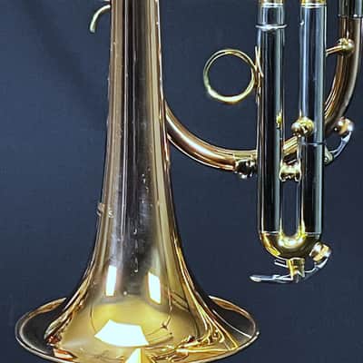 SCHILLER Shepards Crook Pro Elite Cornet in Brushed Rose 2019 image 12