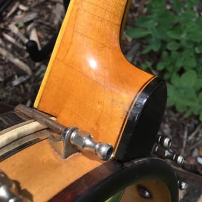 Vega Banjo Ukulele, 1927-1930, VGC, Vintage HSC image 9