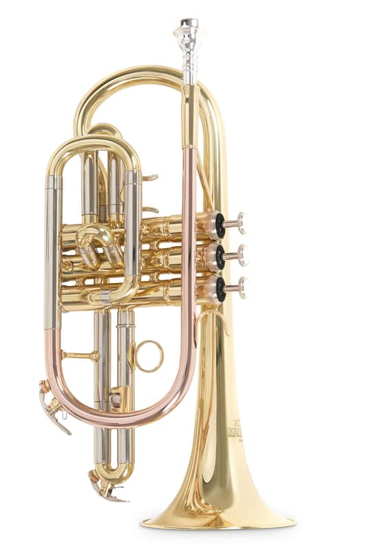 Roy Benson CR-202 in B image 1