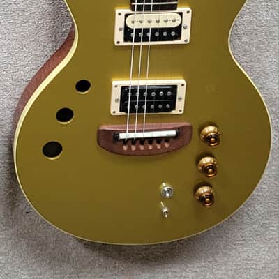 Hamer (USA) Duotone Standard 1995 - Goldtop image 18