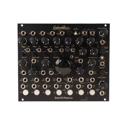 Make Noise Phonogene Module | Reverb