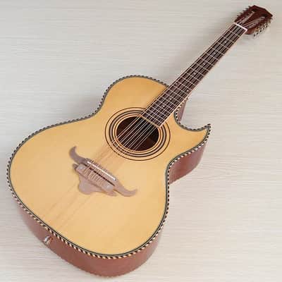 Handmade Custom 10 String Acoustic Electric Guitar, Solid Spruce Top Body, Mahogany Neck - Wood Color image 2
