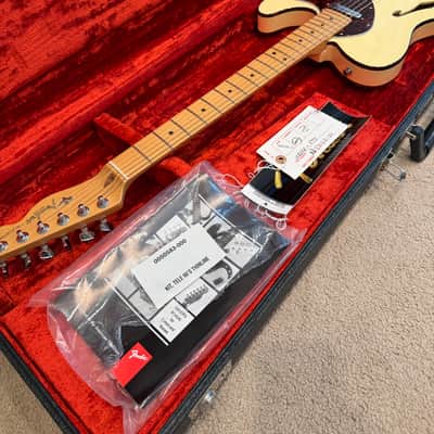 1998 Fender USA Thinline Telecaster image 6