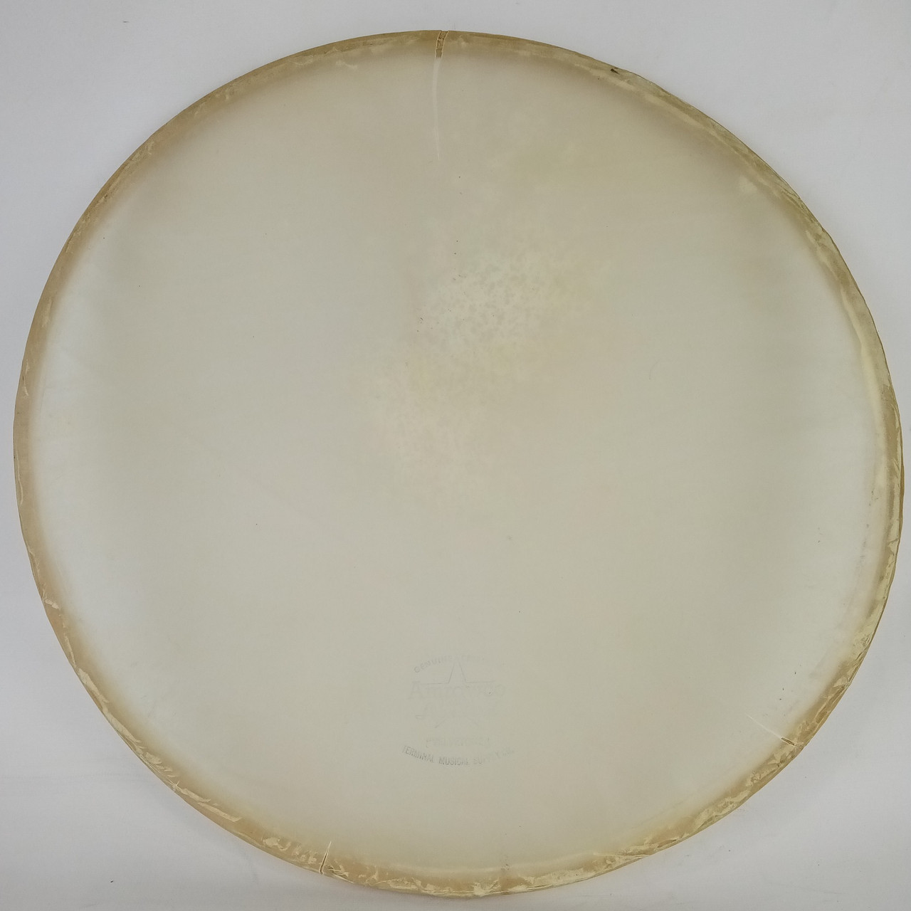Velvetone Snare 15" Calf Skin Drum Head Slunk Resonant Vintage 50s Maple Hoop US — main photograph