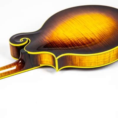 Flatiron F5 Master Model Owned by Matt Freeman Of Rancid image 18