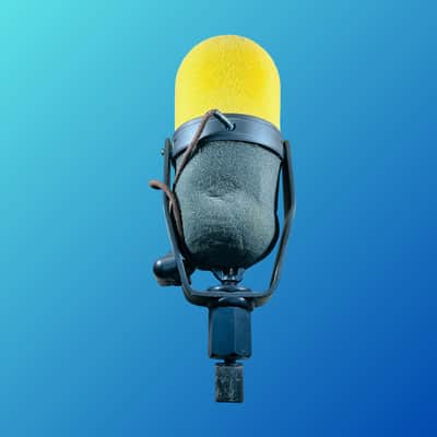 Shure SM5B image 2