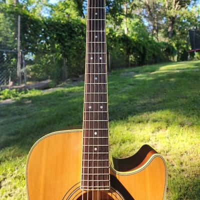 Yamaha LL-5-C image 11