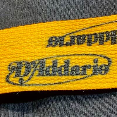 2000's Official 'D'Addario' Concert Pass Lanyards image 2