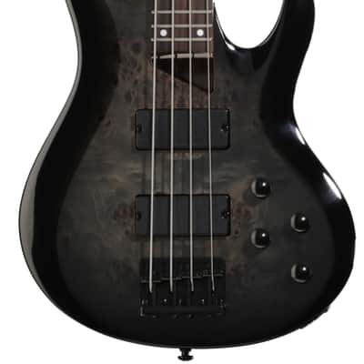 ESP LTD B-204DX Electric Bass Guitar - Black Burst Rosewood Fingerboard image 2
