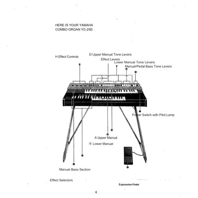 Yamaha YAMAHA YC-25D 1972 - Grey & Cream image 7