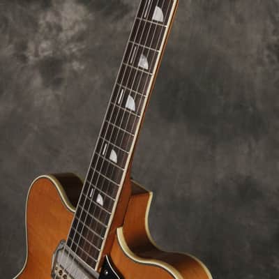 Old Kraftsman (Kay) Hollowbody w/Vibrato tailpiece 1960s Blonde image 12