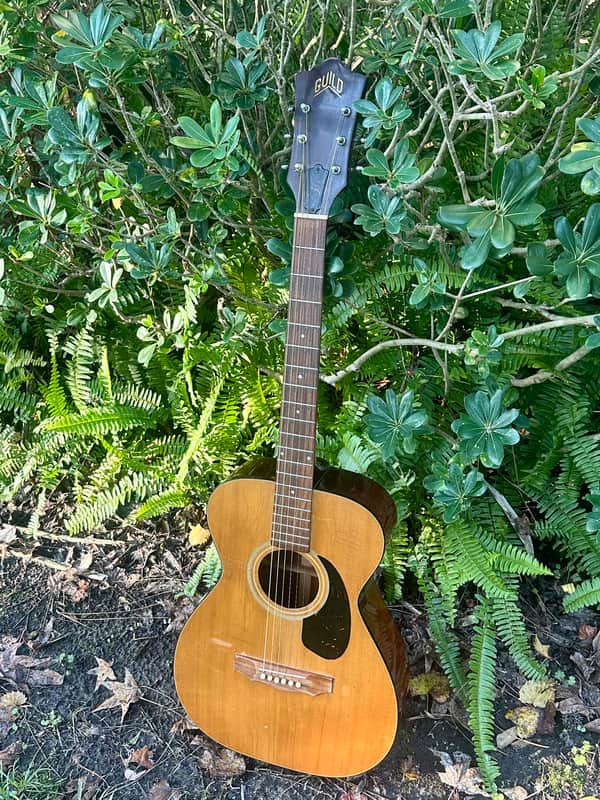 1973 Guild F-20 Troubador image 1