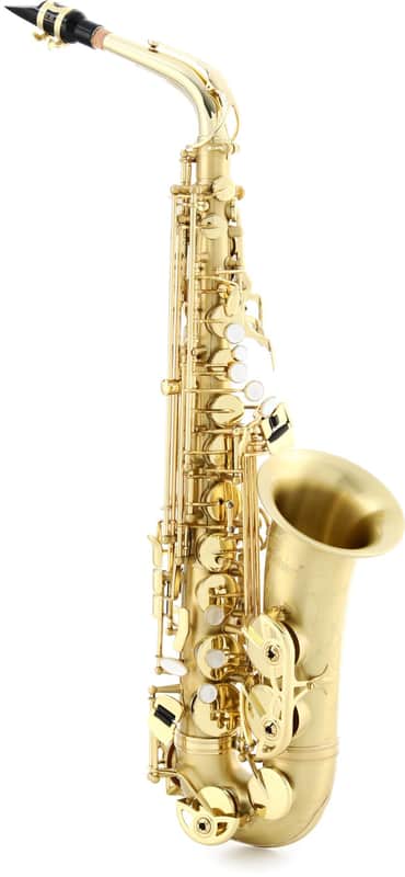 Selmer SAS711 Professional Alto Saxophone - Matte image 1