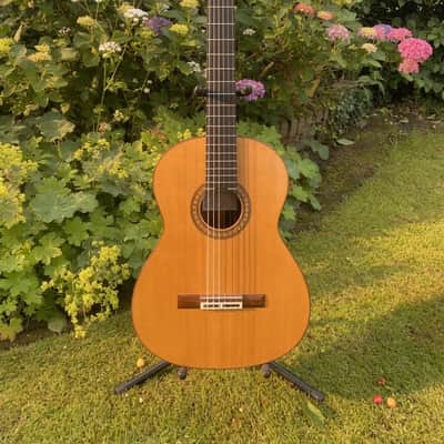 Eduardo Ferrer Classical guitar 1983 - French Polish image 1