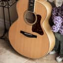Collings SJ