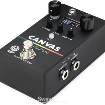 Walrus Audio Canvas Rehearsal Pedal (CanvasRehd1) image 5