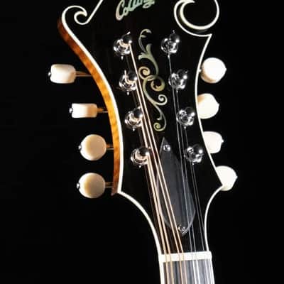 Collings MF5 Mandolin (NAMM Show 2024) image 12
