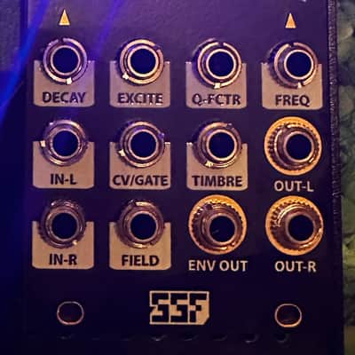Steady State Fate Stereo Field 2025 - Black image 4