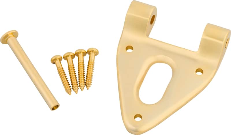 Bigsby Conventional Hinge w/ Hinge Pin and Screws, Gold, 180-0038-006 image 1
