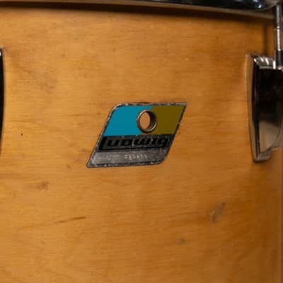 1970s Ludwig 16x18 Three-Ply Thermogloss Floor Tom image 9