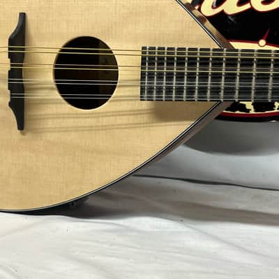 Big Muddy Mandolin Co. M-4J Mandolin image 6
