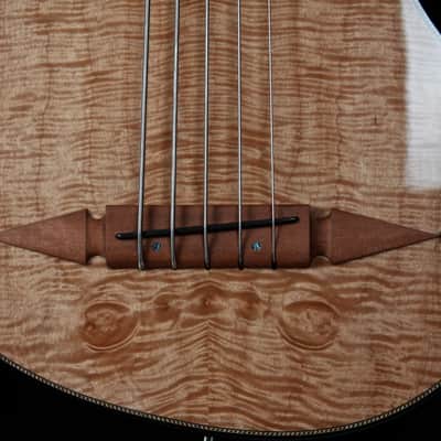 Renaissance Bass RB5 2015 image 8