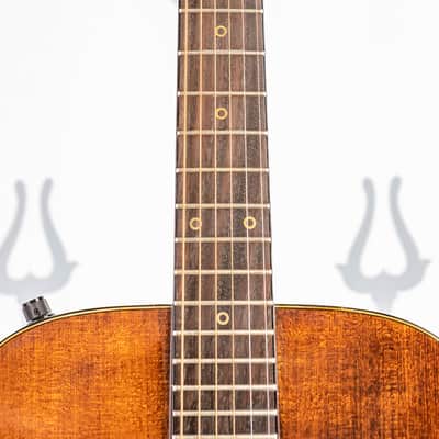 Daion Year Series '79 Brown Acoustic Six String image 2