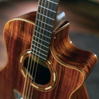 Washburn G55CE Comfort Grand Auditorium Acoustic Electric Guitar (Koa) *USA Small Business* image 2