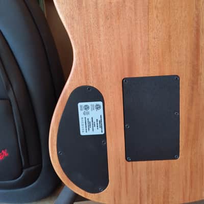 Fender American Acoustasonic Tele Telecaster All Mahogany w/ Deluxe Gig Bag image 21