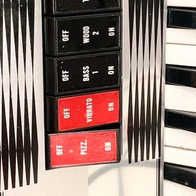 Tombo Gakki Accordeon 1960's image 4