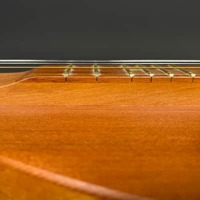 Black Mountain Instruments Model 580 Mountain Dulcimer 2009 USA w/ Gig Bag, Books & Accessories image 12