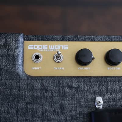 Eddie Wang Instruments Quantum Zen 1x12 Combo - Amazing Amp! image 9