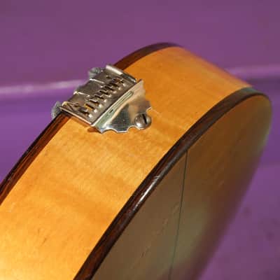 1920s Vega William Schmick Lyric Resonator Tenor Banjo (VIDEO! Fresh Work, Ready) image 14