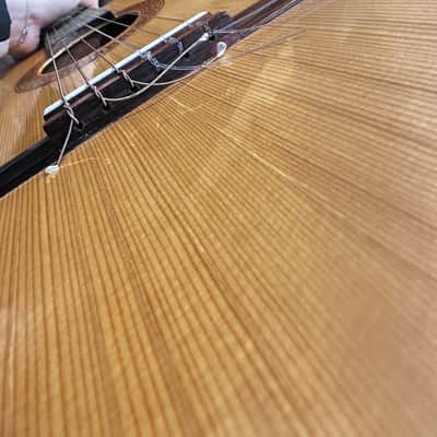 Vintage Giannini AWN71 Acoustic Guitar – Playable, Needs Restoration image 15