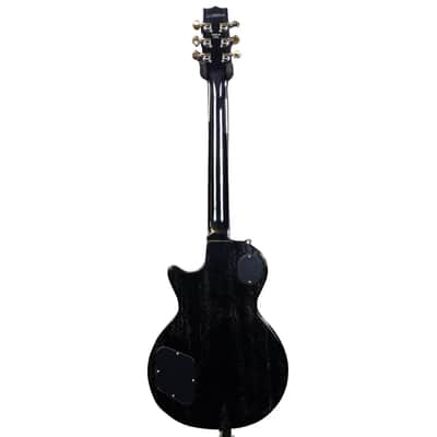Heritage Custom Shop H-137 - Dog Hair image 4