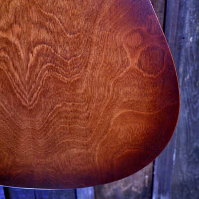 Seagull Entourage CW Presys II - Autumn Burst image 19