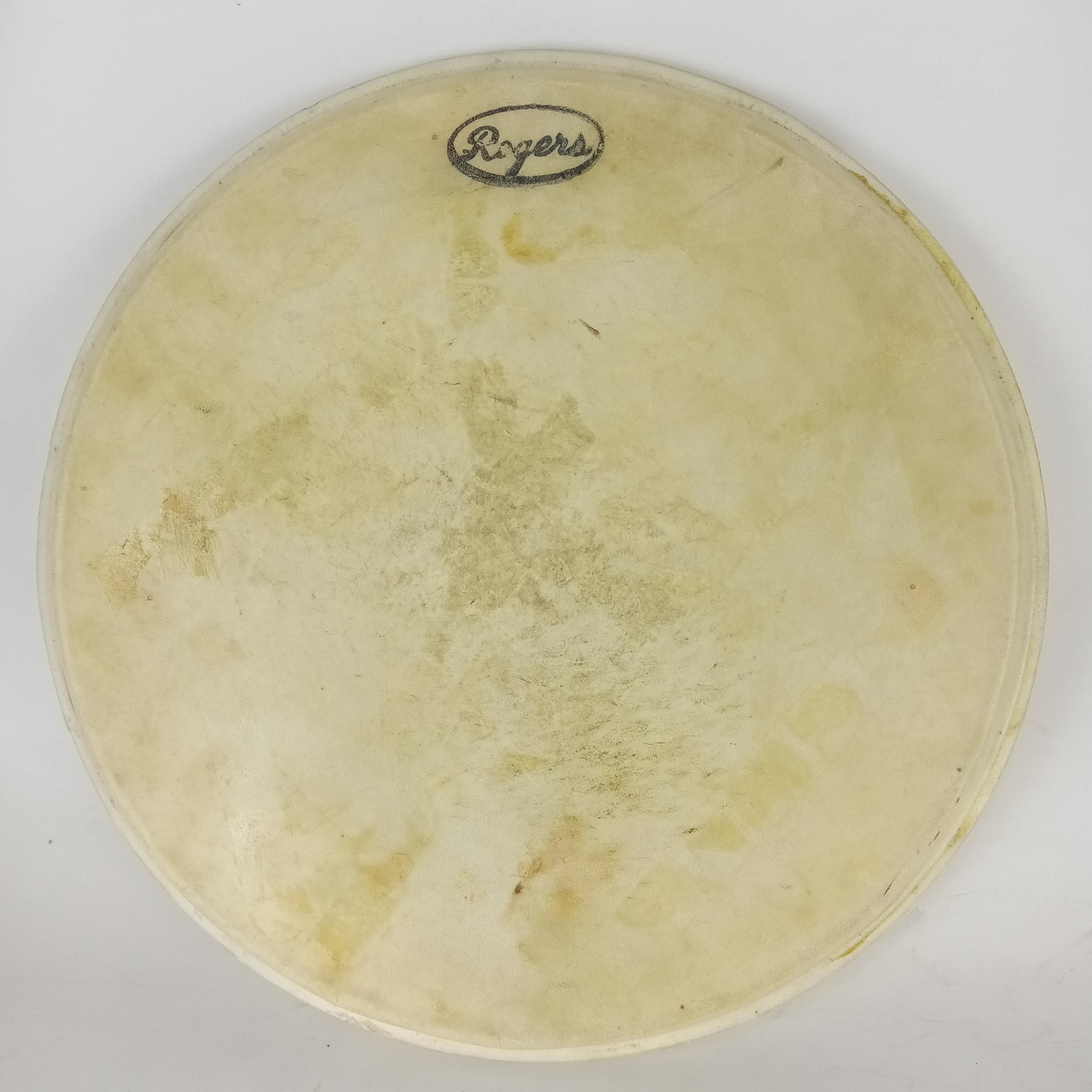 Rogers 12" Calf Skin Tom Drum Head Cleveland Holiday Era Vintage 50s-60s Batter — main photograph