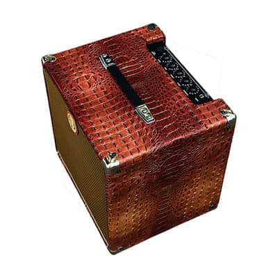 Ashen " Croco Mighty500" BG500 1x12" Custom Portable Bass Combo Amp image 3