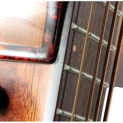 Breedlove Pursuit Exotic S CE Concerto Acoustic-Electric Bass - Amber Burst image 5