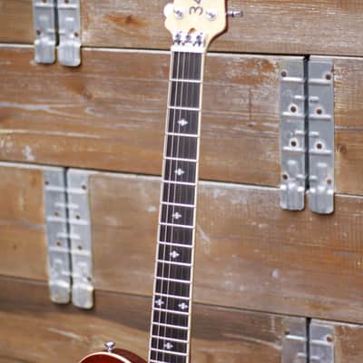 The Alternative Guitar Company 34 1/2 2000s - Sunburst image 7