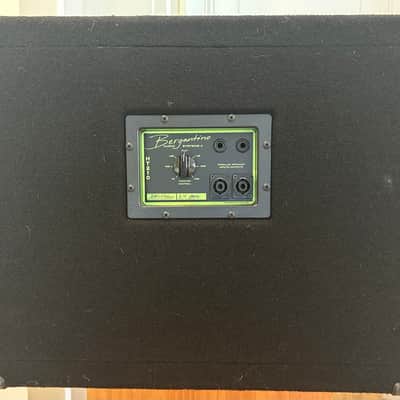 Bergantino Prototype HT210 image 3