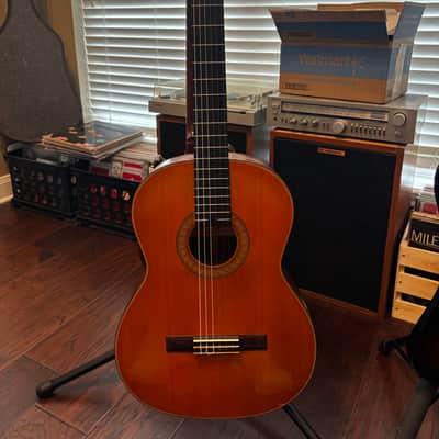 Aria Concert Guitar A C-8 1970s - Gloss image 1