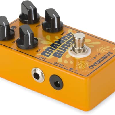 Caline CP-516 2024 - Orange image 3