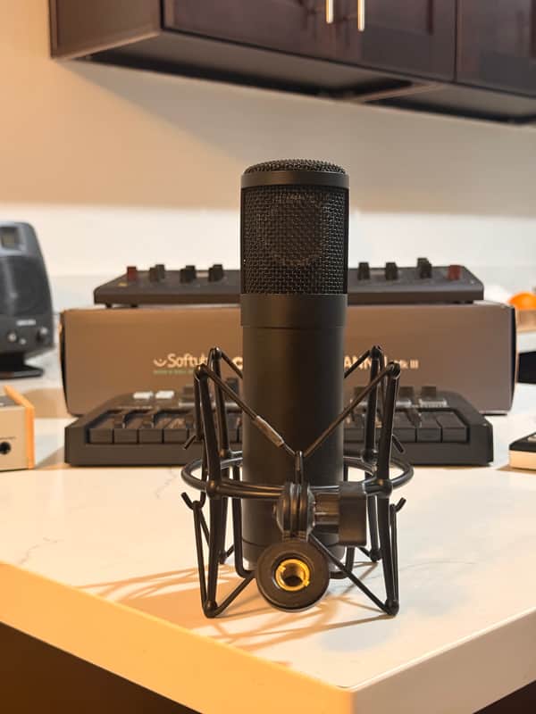 Slate Digital ML-1 Cardioid Condenser Microphone 2010s - Black image 1