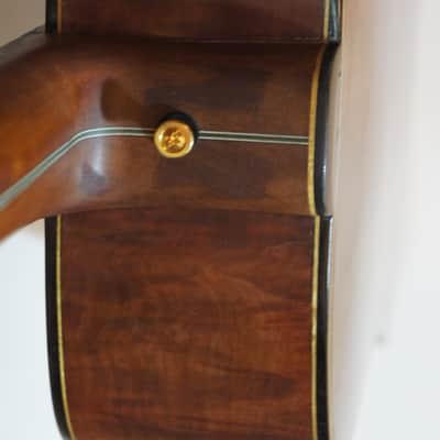 Darren Hippner #17 Ltd Dreadnought/ Bluegrass-Adirondack Spruce top/ Tasmania Jarrah image 23