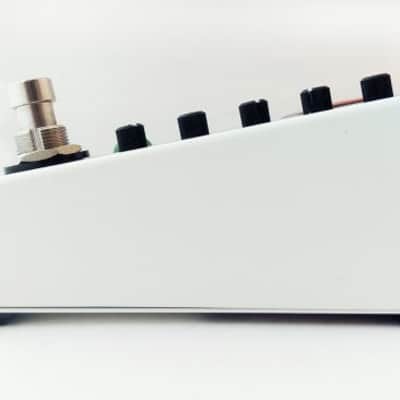 RAINGER FX REVERB-X DIGITAL REVERB & IGOR MINI PEDAL : BRAND NEW :  [DETROIT MODULAR] image 4